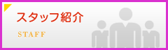 スタッフ紹介